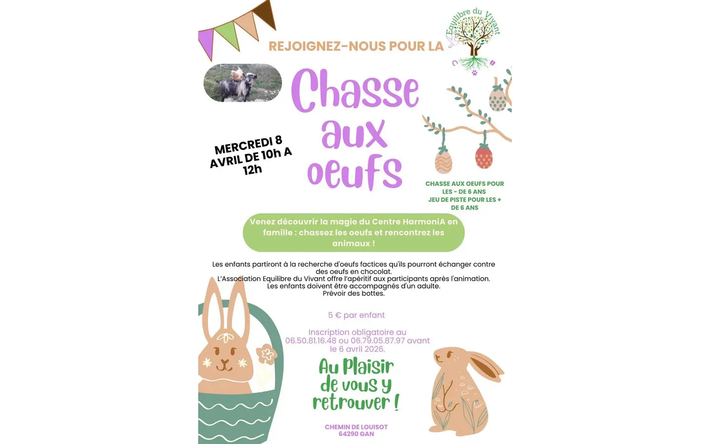 chasse aux oeufs harmonia