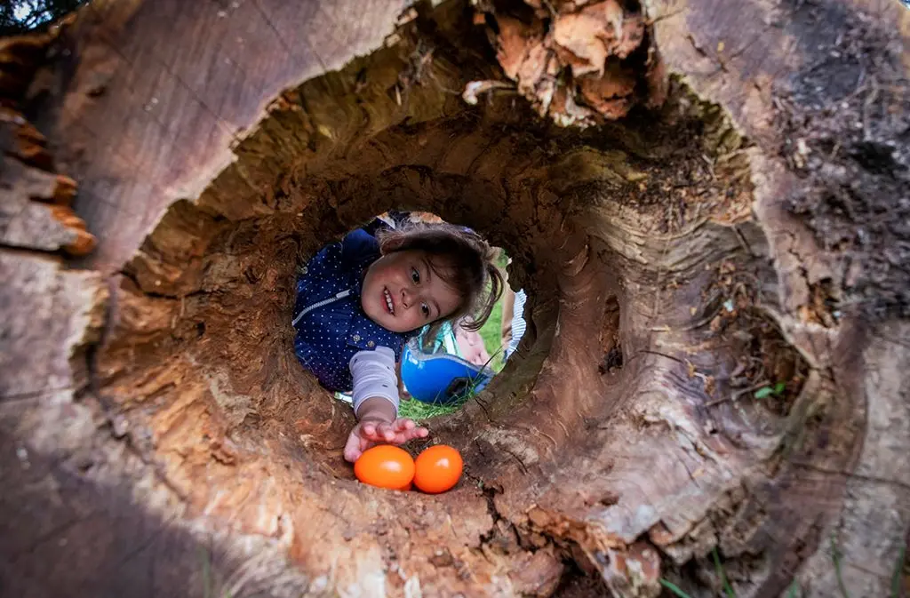chasse enfant pâques-fotor-20260306115156
