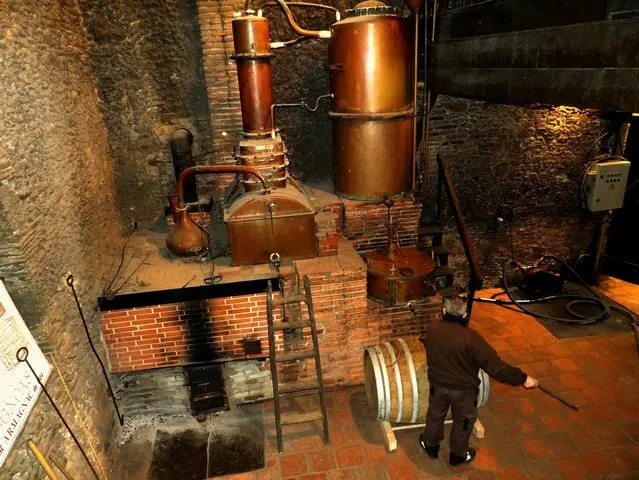 distillation Ognoas