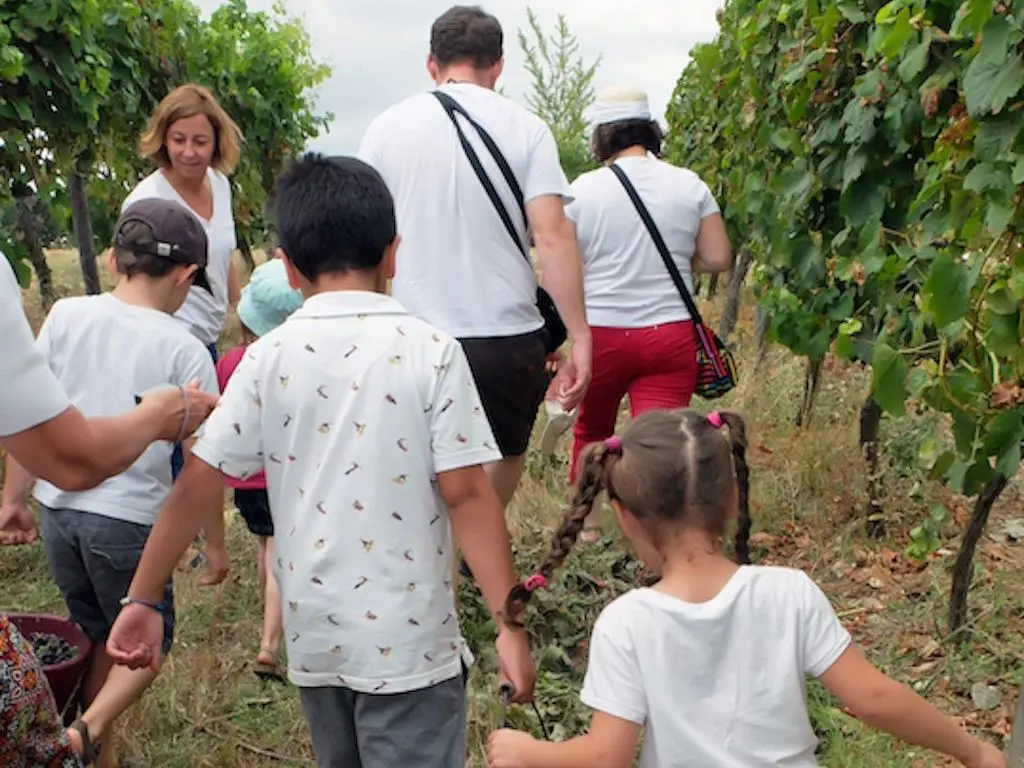 domaine_du_siorac_visite