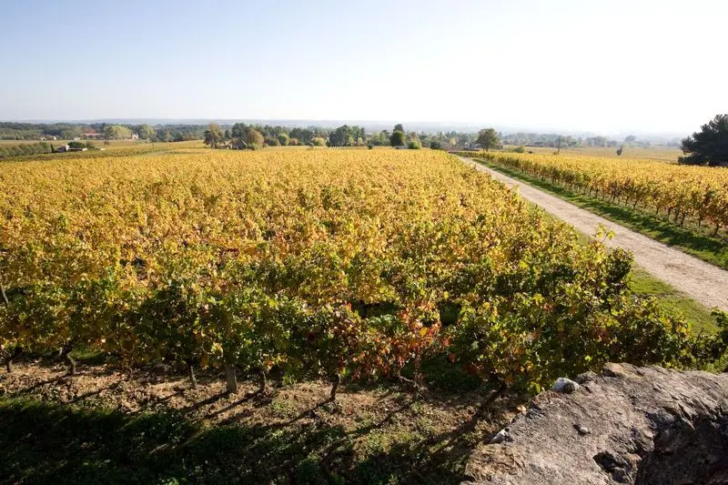 domaine-haut-pecharmant