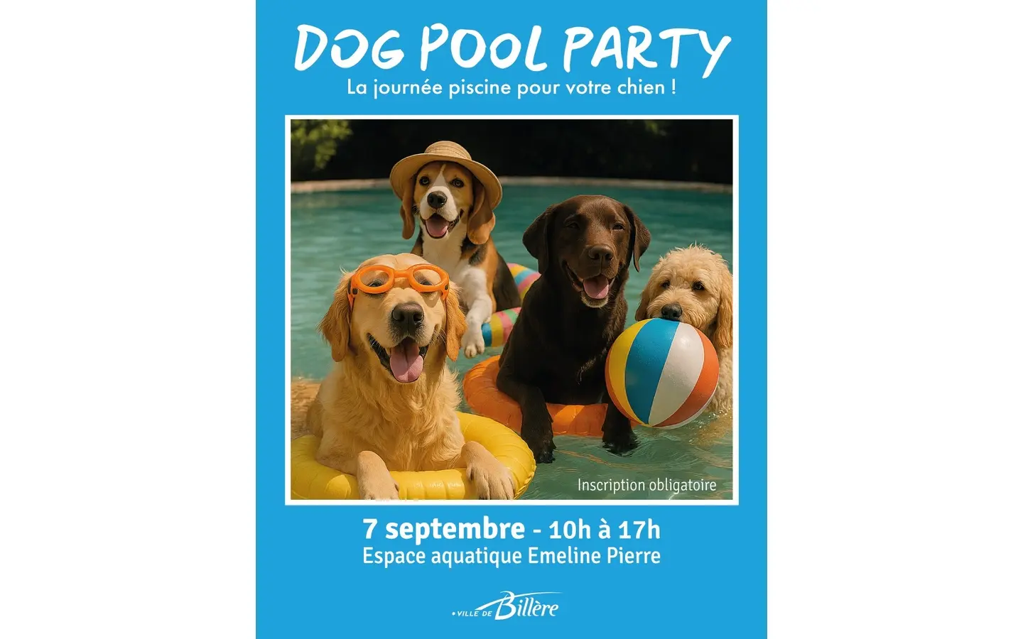 dog pool party