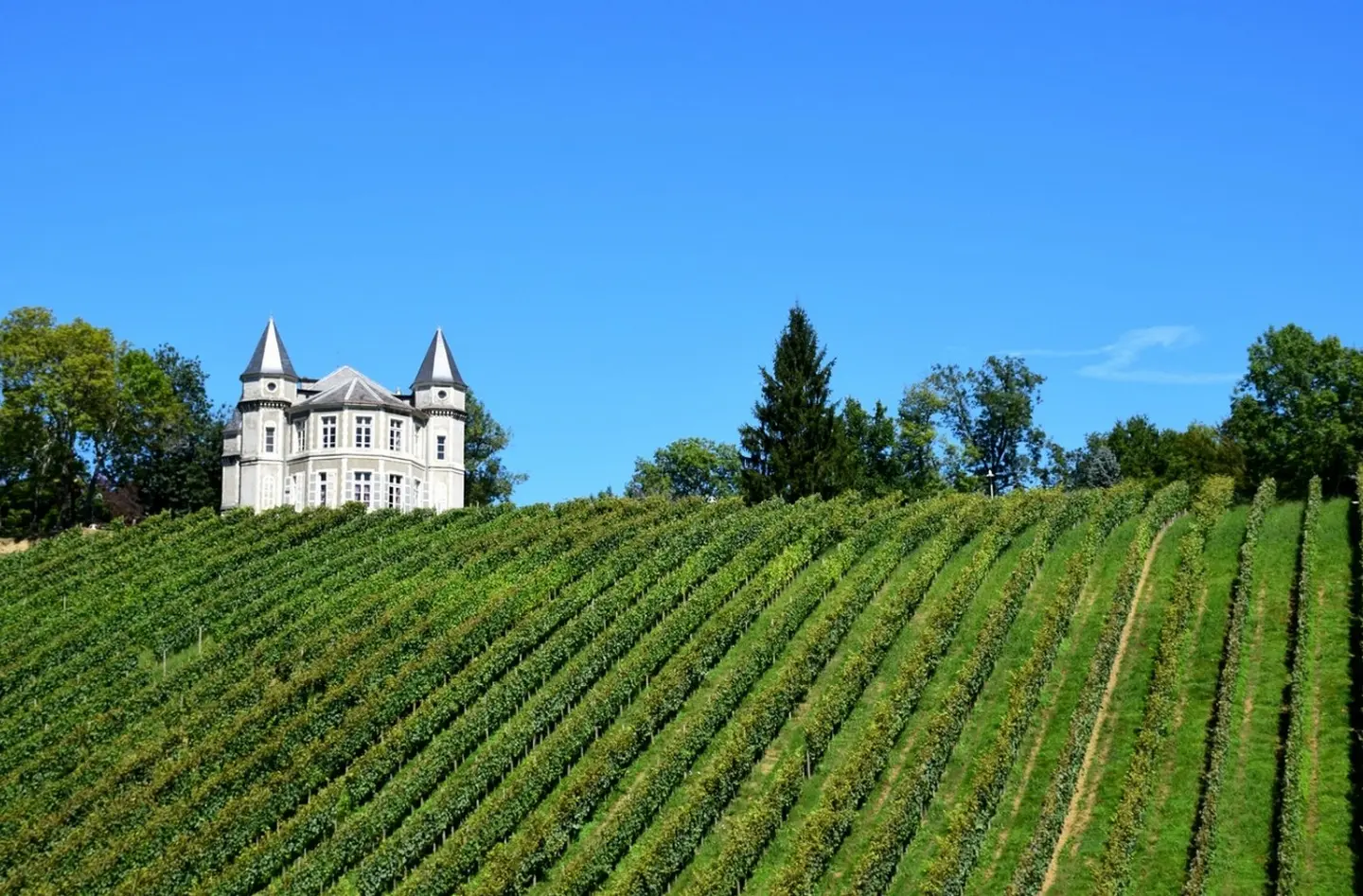 Bizanos - les hauteurs de Franqueville -  en bas des vignes
