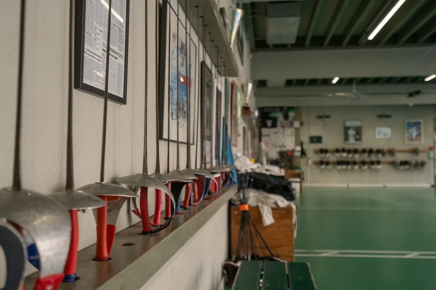 gymnase du hedas-(c)arnouts