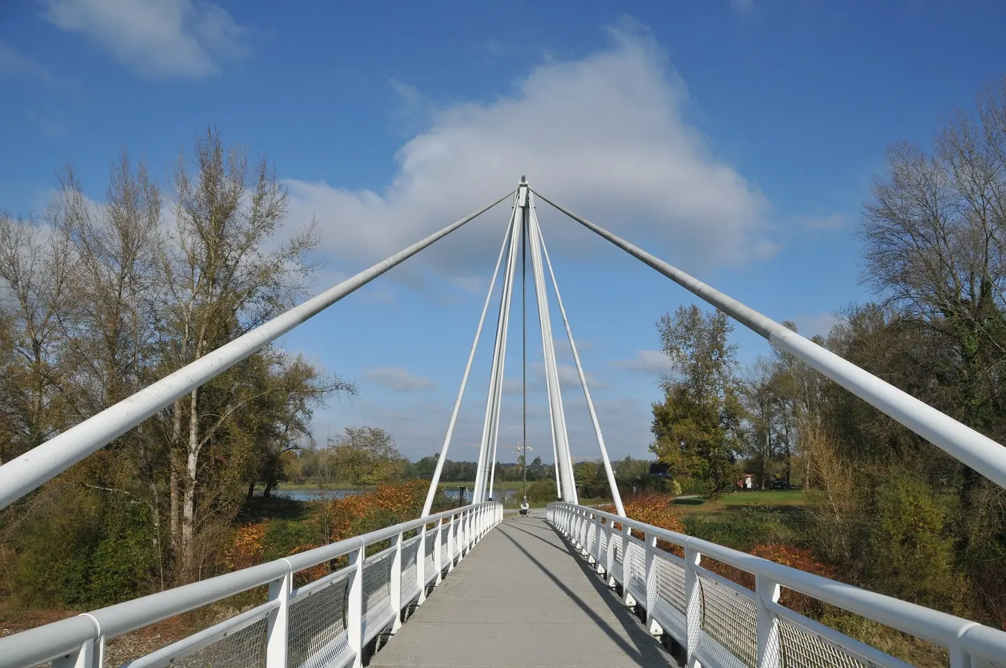 Laroin - le pont