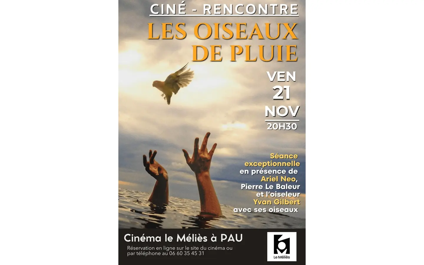 les-oiseaux-de-pluie