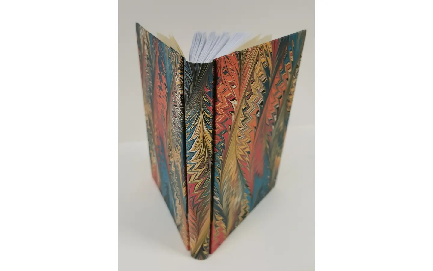 mois_reliure_demonstration