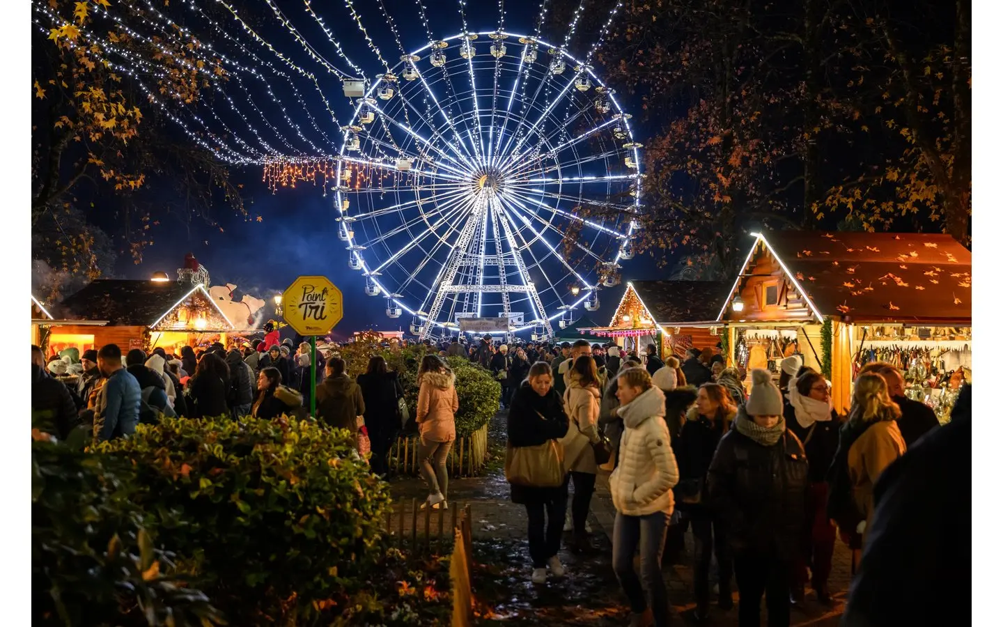Grande Roue - Noël à Pau