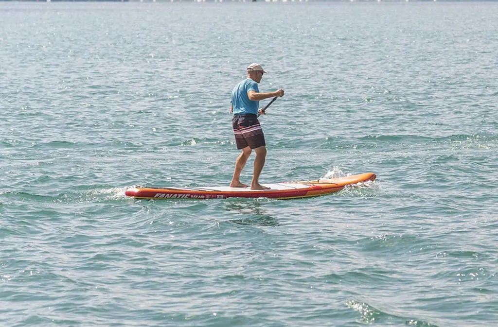 paddle