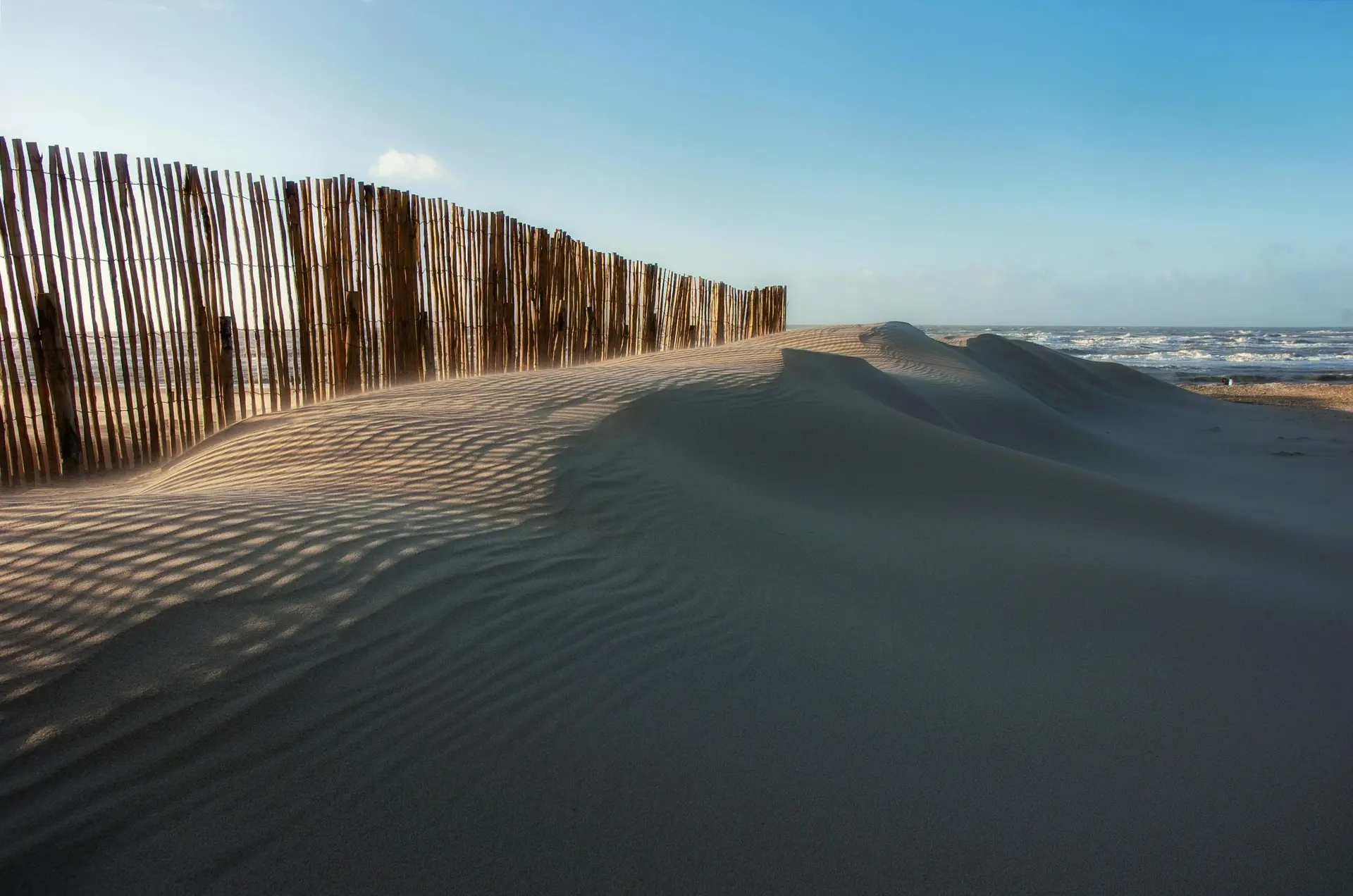 pexels-hans-heemsbergen-2152884034-32675402