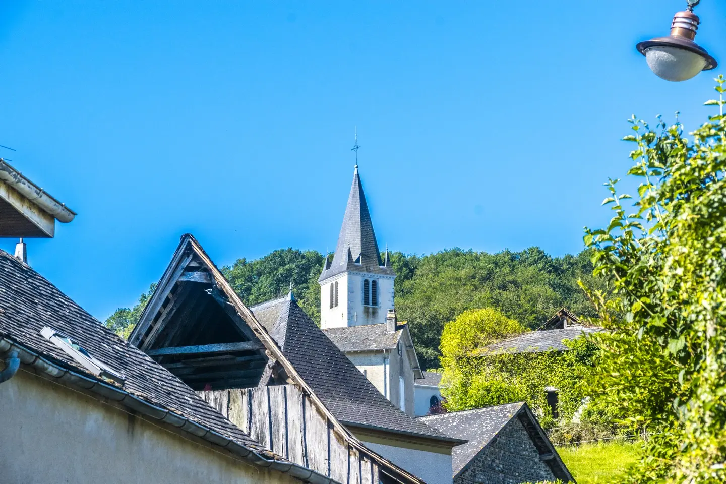photo-rando-arbus-coteaux-du-bois-de-bas1