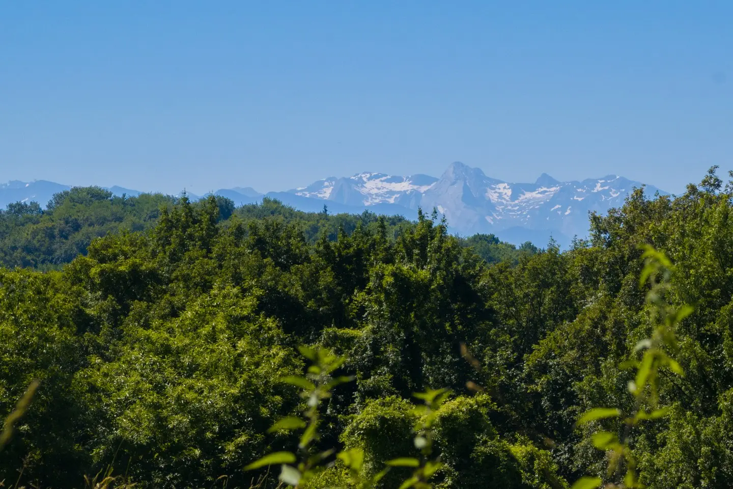 photo-rando-arbus-coteaux-du-bois-de-bas6