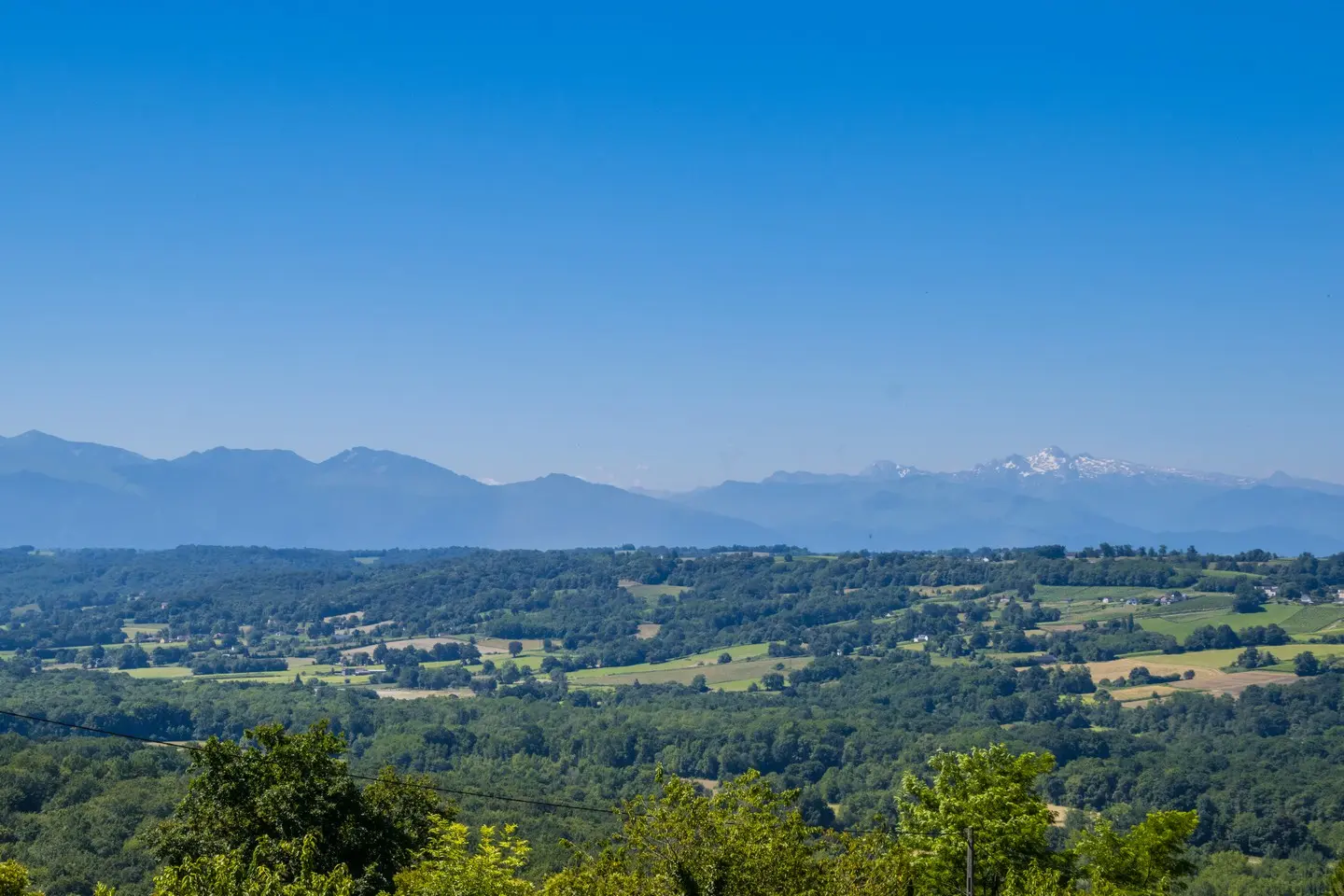 photo-rando-arbus-coteaux-du-bois-de-bas7
