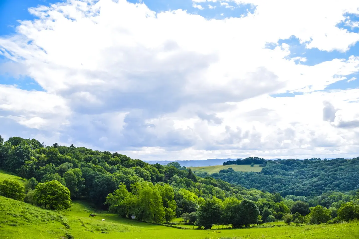 photo-rando-rontignon-sentier-des-cretes11