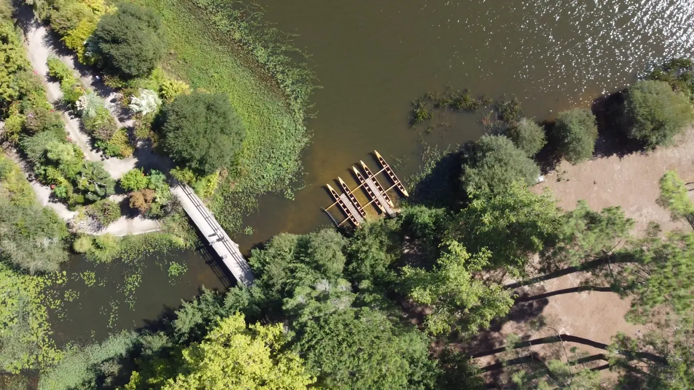 Au cœur de la nature
