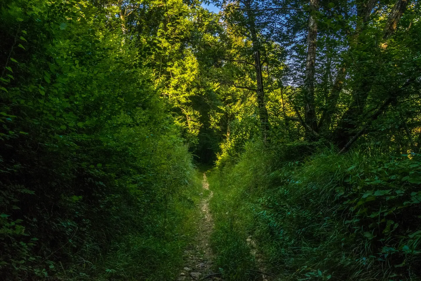 rando-pau-aubertin-de-la-helere-a-la-baise-03