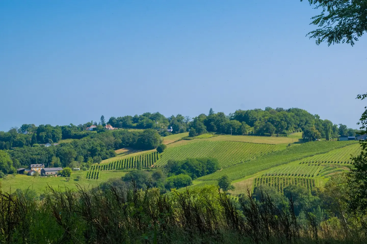rando-pau-aubertin-de-la-helere-a-la-baise-10