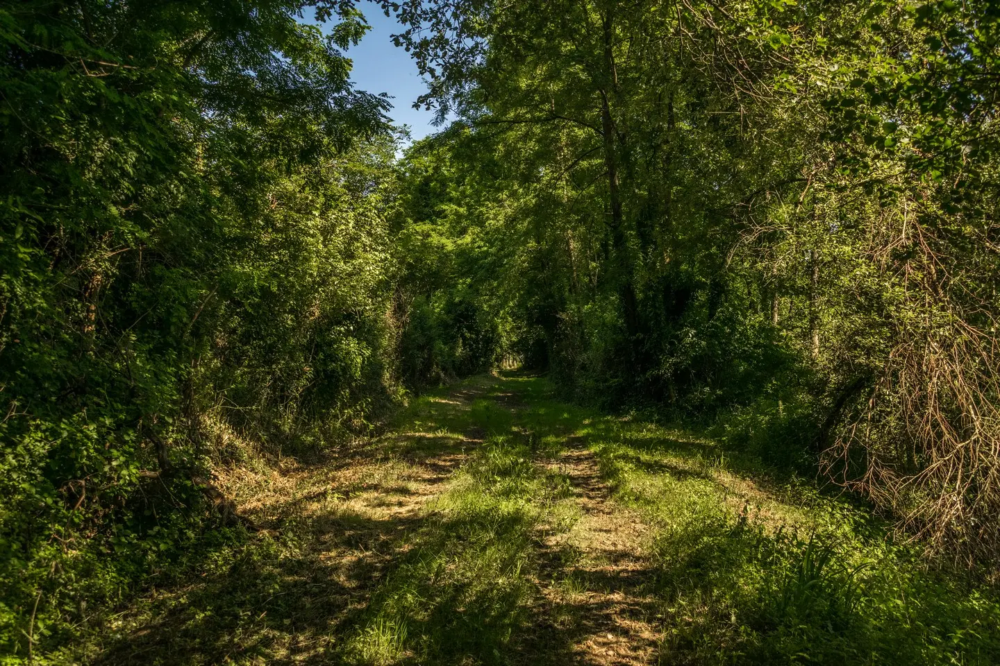 rando-pau-aussevielle-ligne-vielle-01