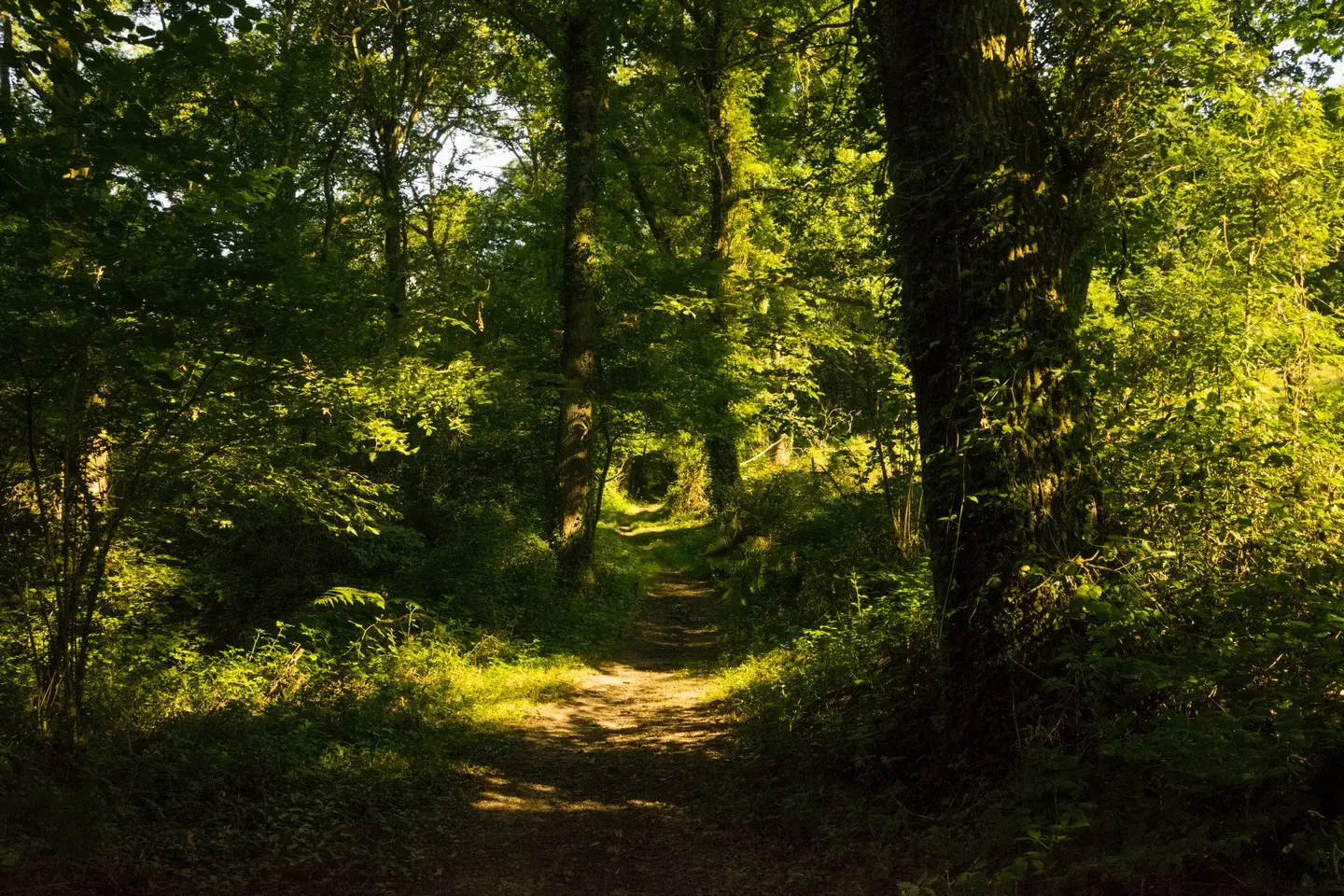 rando-pau-beyrie-promenade-autour-beyrie-04