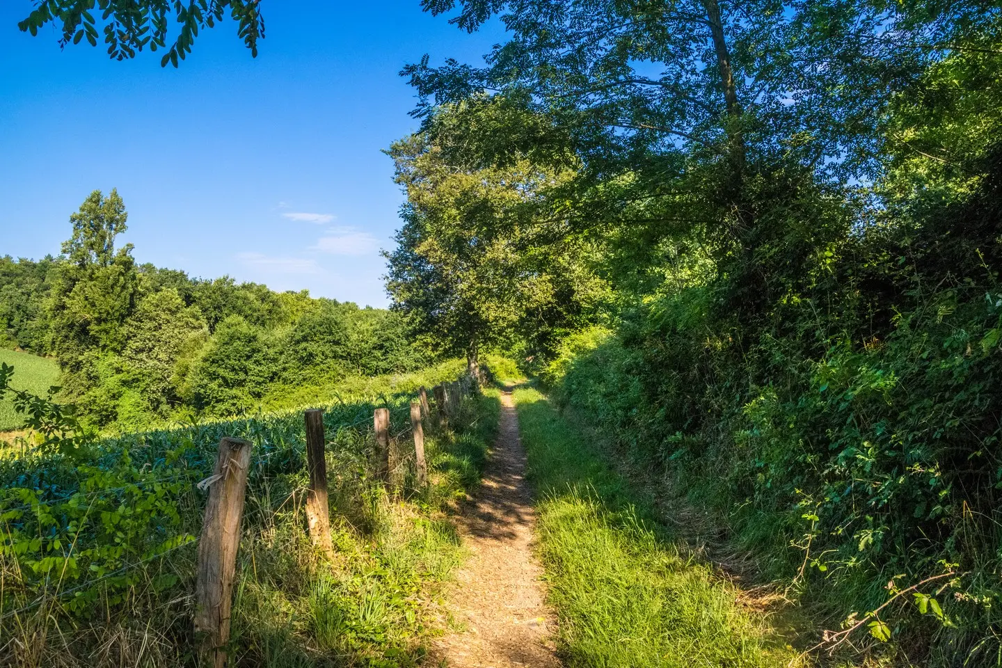 rando-pau-beyrie-promenade-autour-beyrie-03