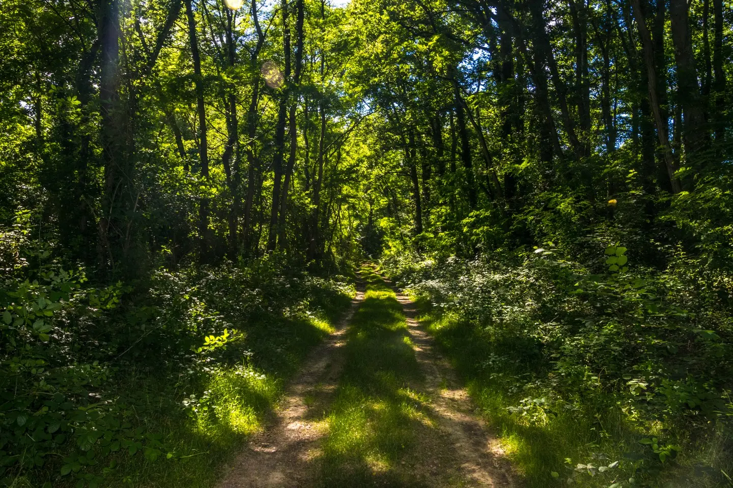 rando-pau-uzein-autour-du-luy-07