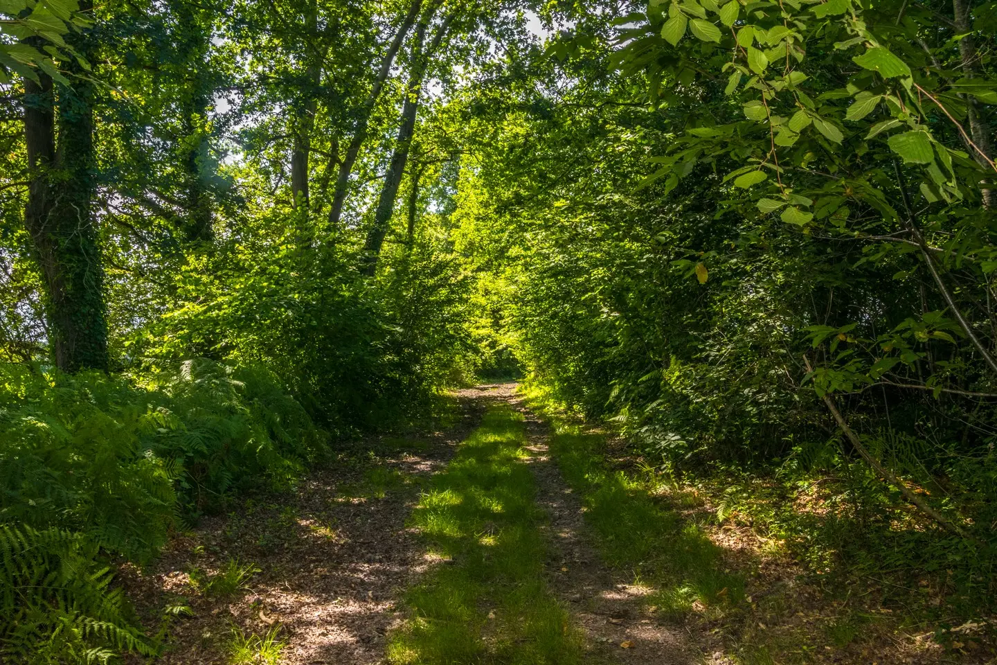 rando-pau-uzein-boucle-hialere-04