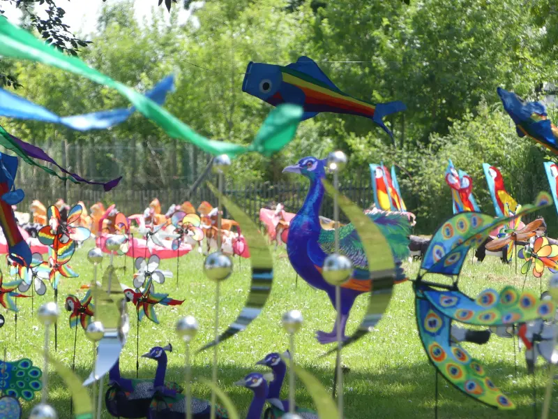 Fête du Vent à Terres d'Oiseaux