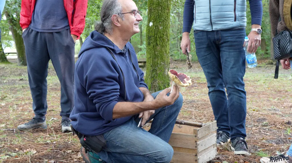 sortiechampignons