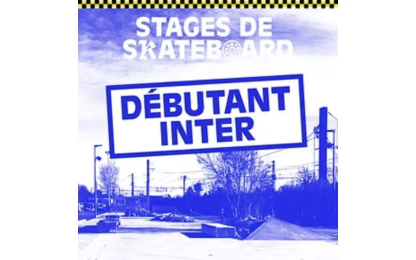 stage skate debutant intermediaire