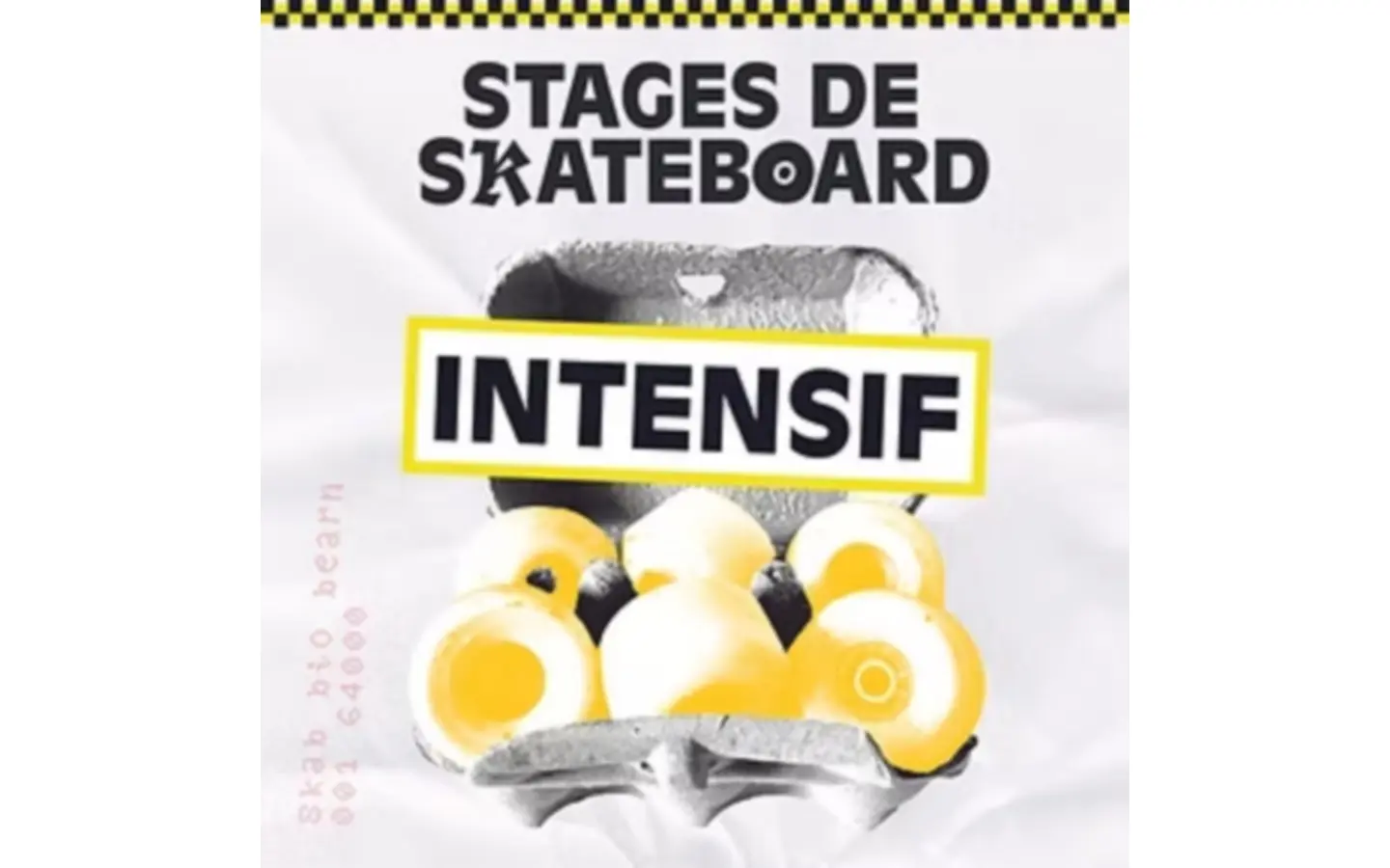stage skate intensif