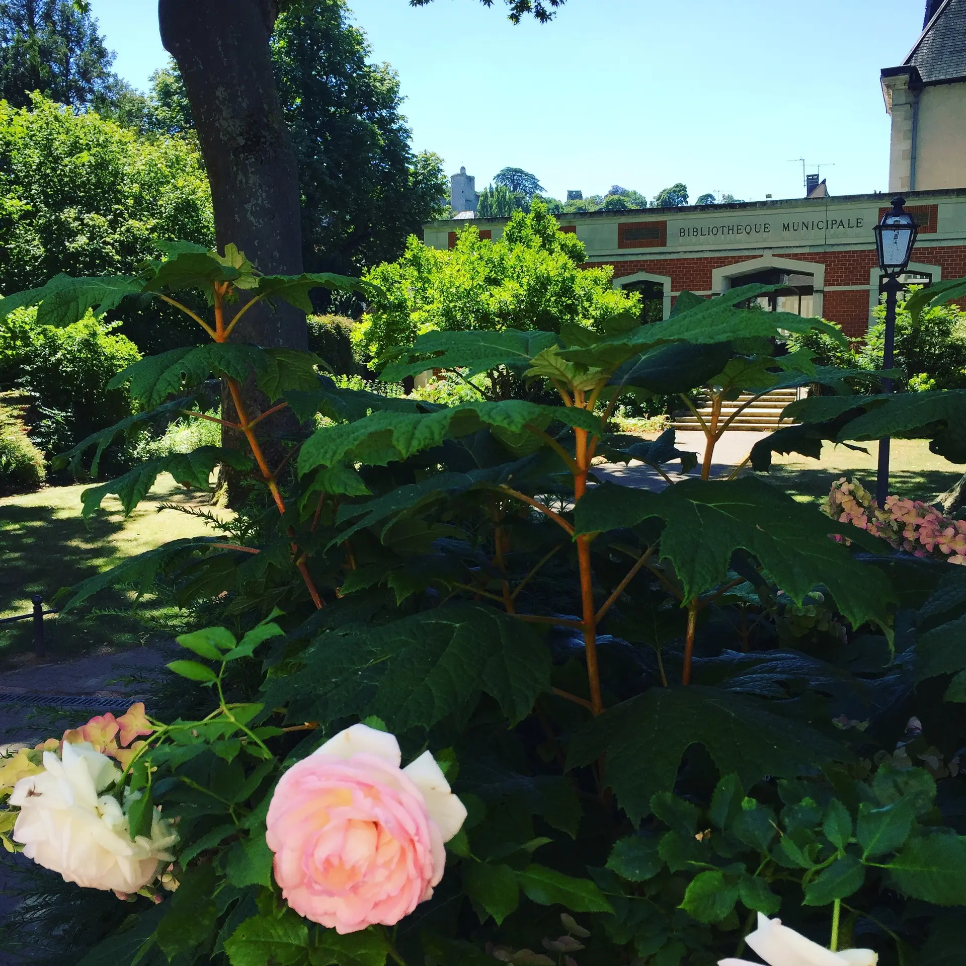 Médiathèque de Vendôme