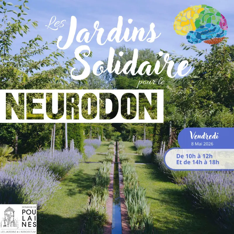 Affiche Neurodon