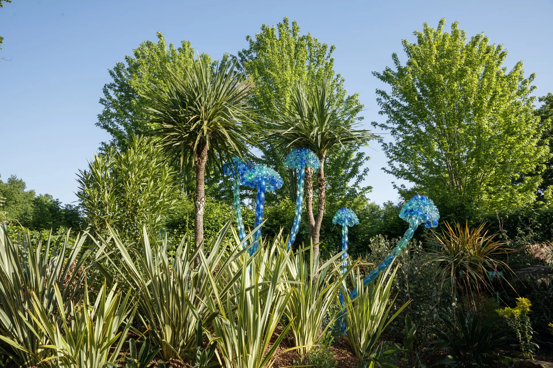 HORTUS POCUS