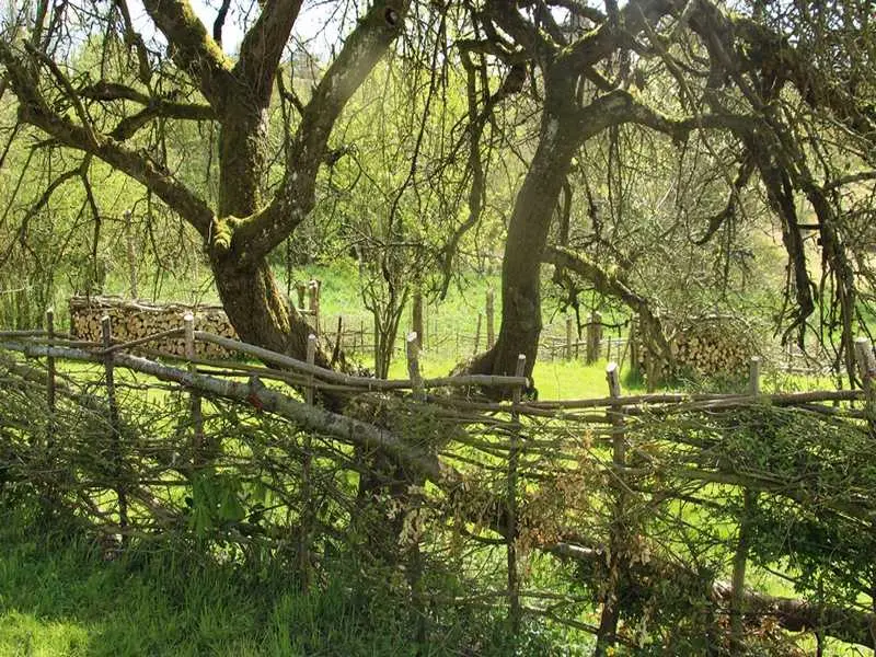 Plessage à la Maison Botanique