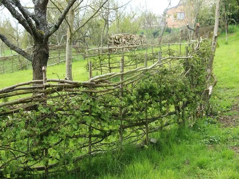 Plessage à la Maison Botanique