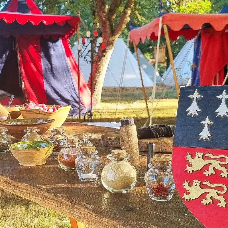 Vie de camp au 14e siècle par La Mesnie du Lion et de l'Hermine