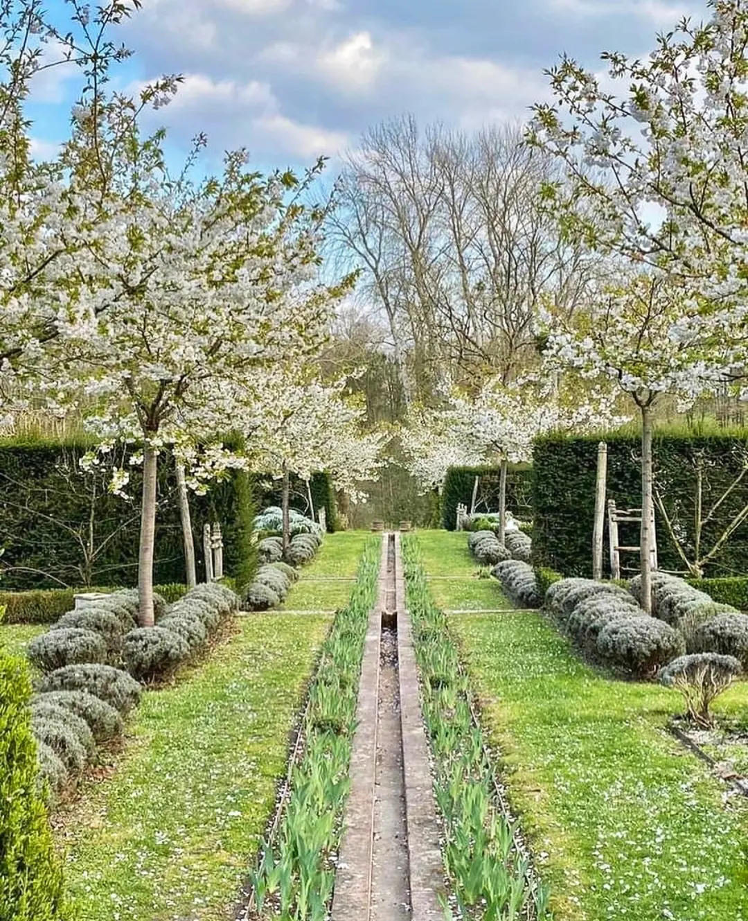 Chemin d'eau