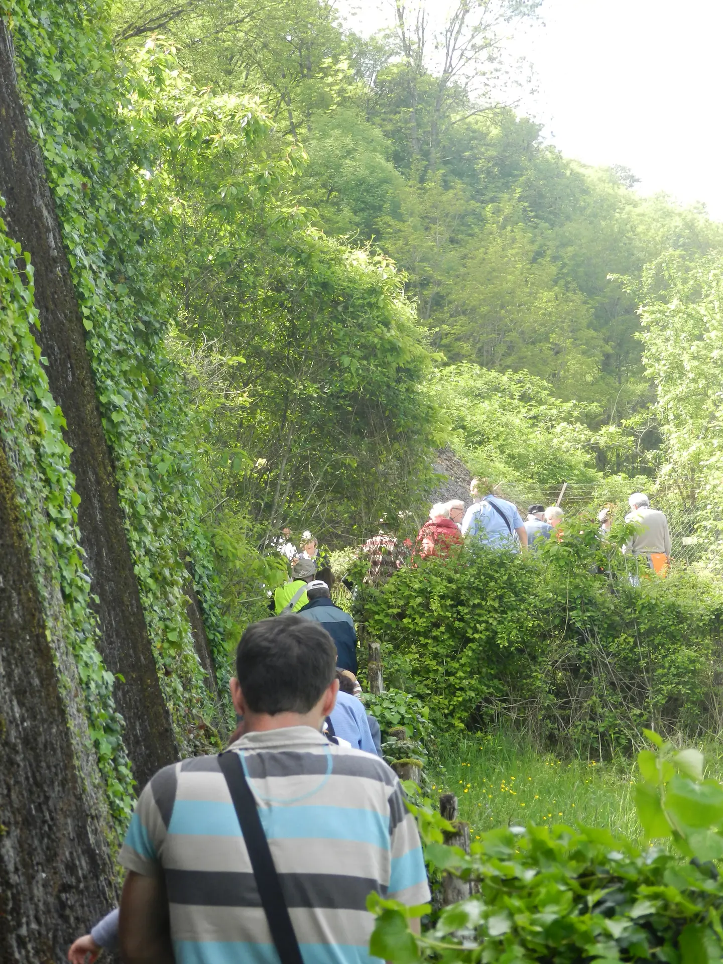 Randonnée historique W3 à Saint-Rimay