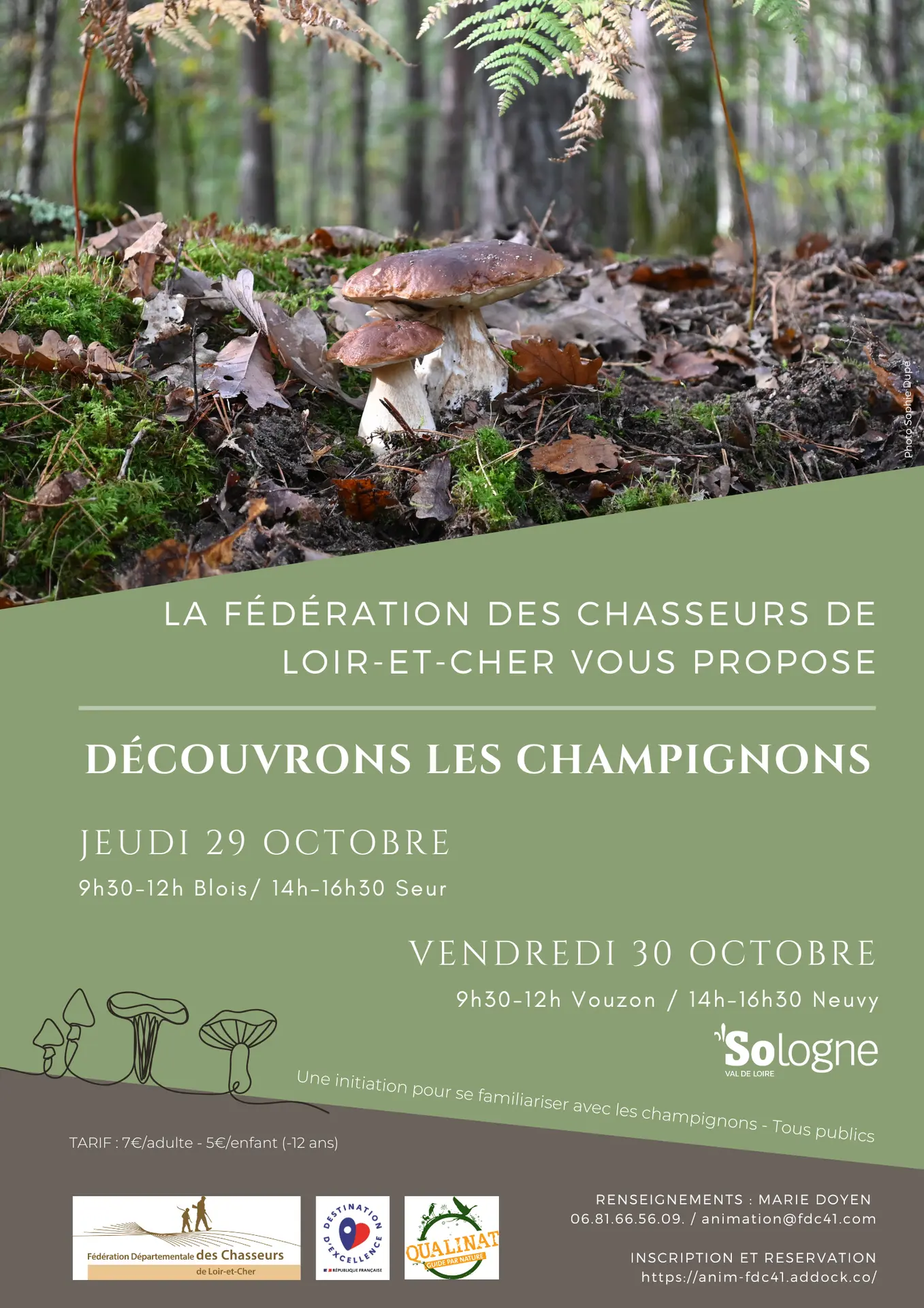 Découvrons les champignons - 1