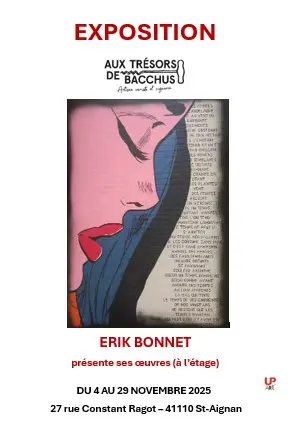 thumbnail_Affiche Erik Bonnet NOV25