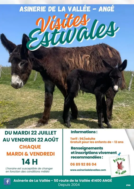 visites-estivales-asinerie-de-la-vallee
