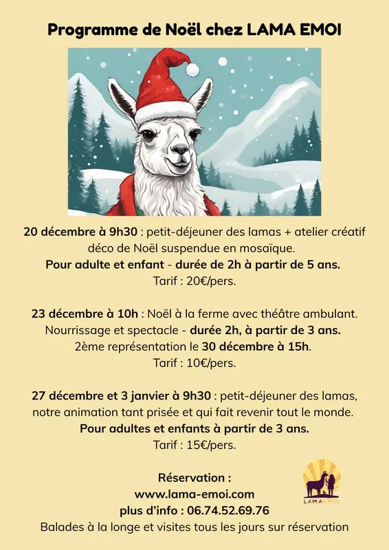 Affiche Noël LAMA EMOI