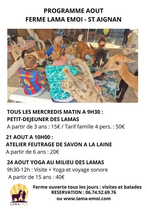 Affiche Août LAMA EMOI