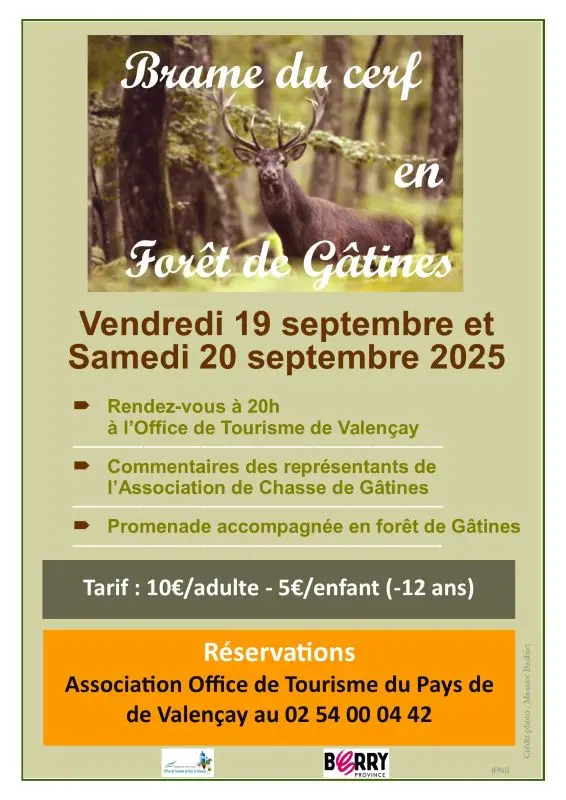Affiche brame du cerf 2025