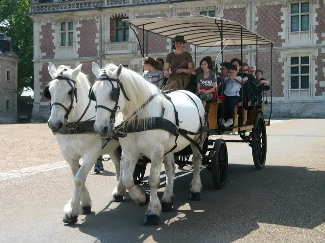 Attelages du chateau (c) Attelages du chateau