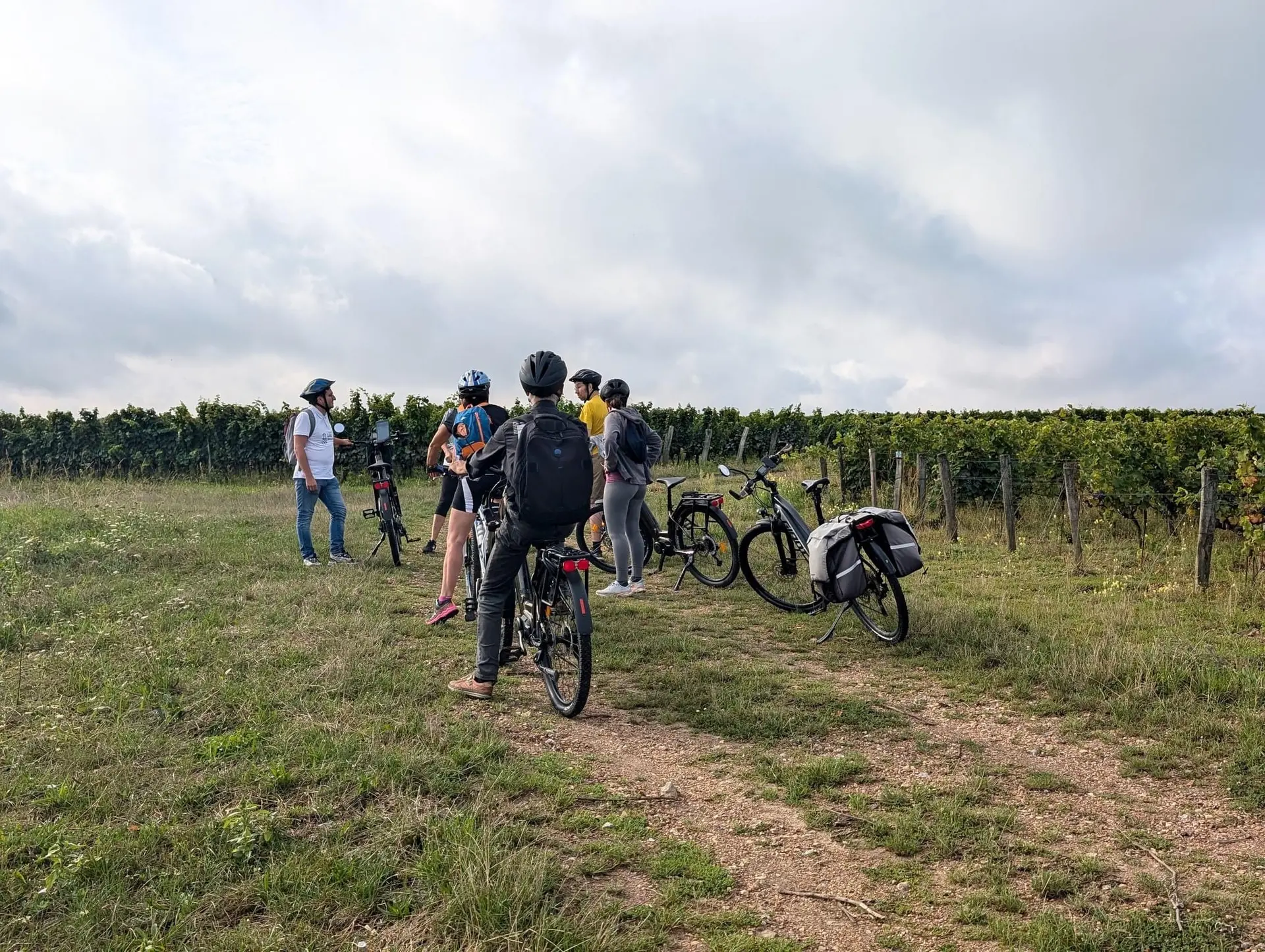 Balade guidée à vélo