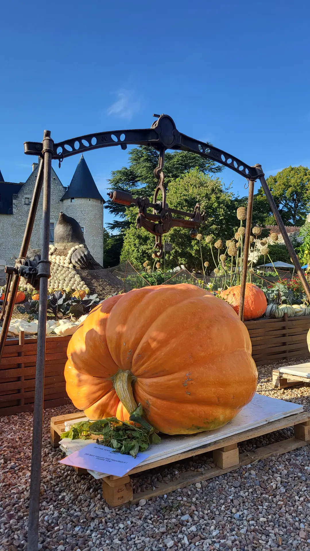 Fête de la Citrouille - Château du Rivau