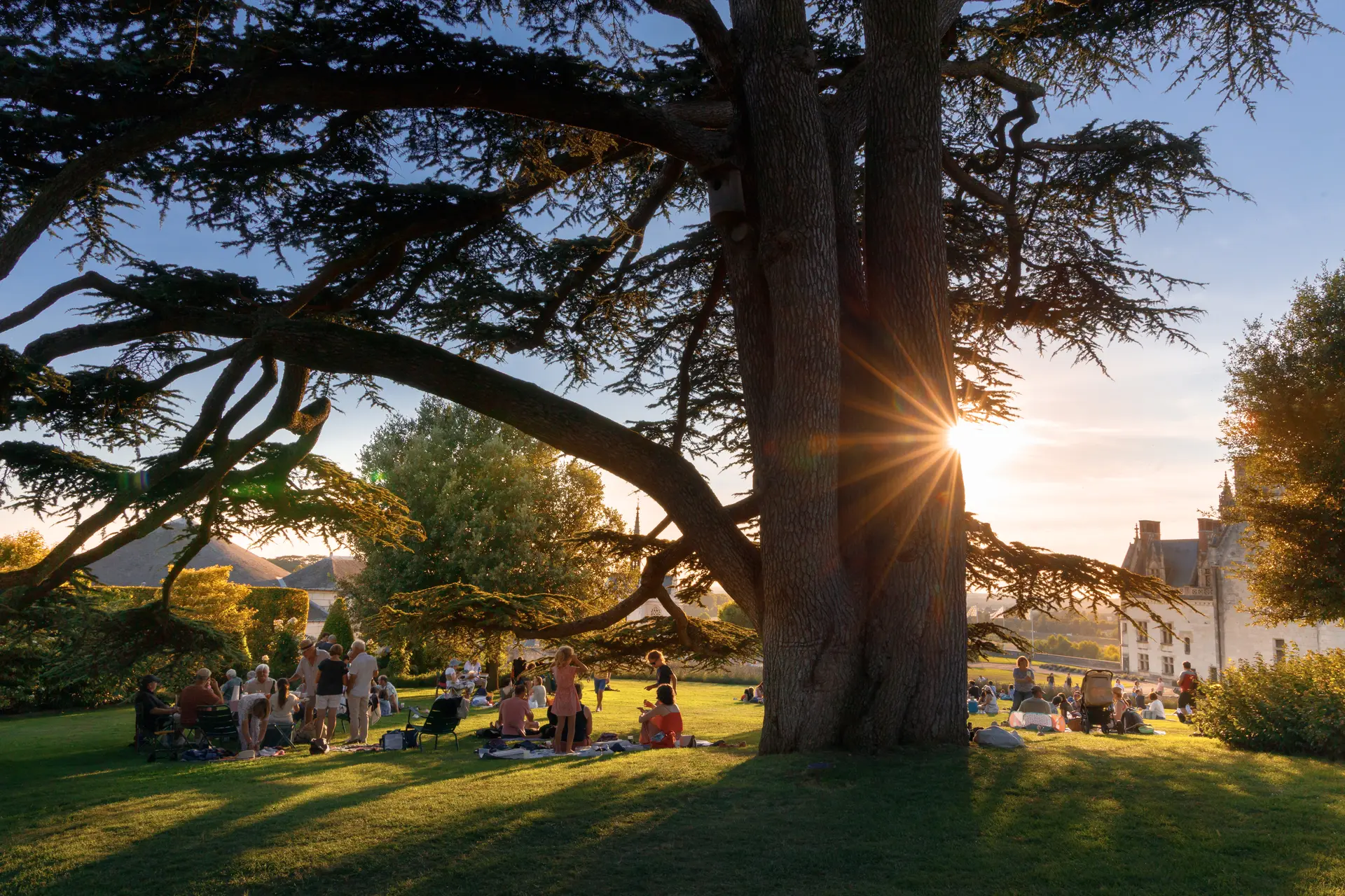 Château royal d'Amboise (c)Léonard de Serres 08-2030 (13)