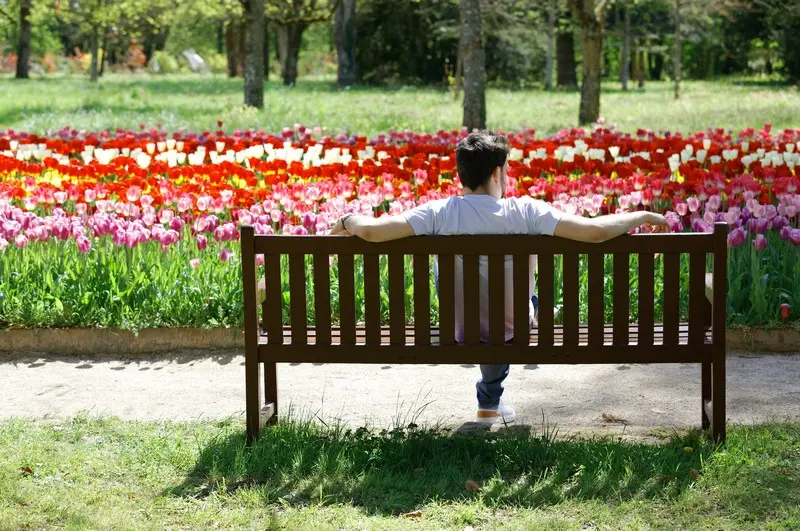 Moment de détente sur un banc, face au jardin de tulipes du château de Cheverny