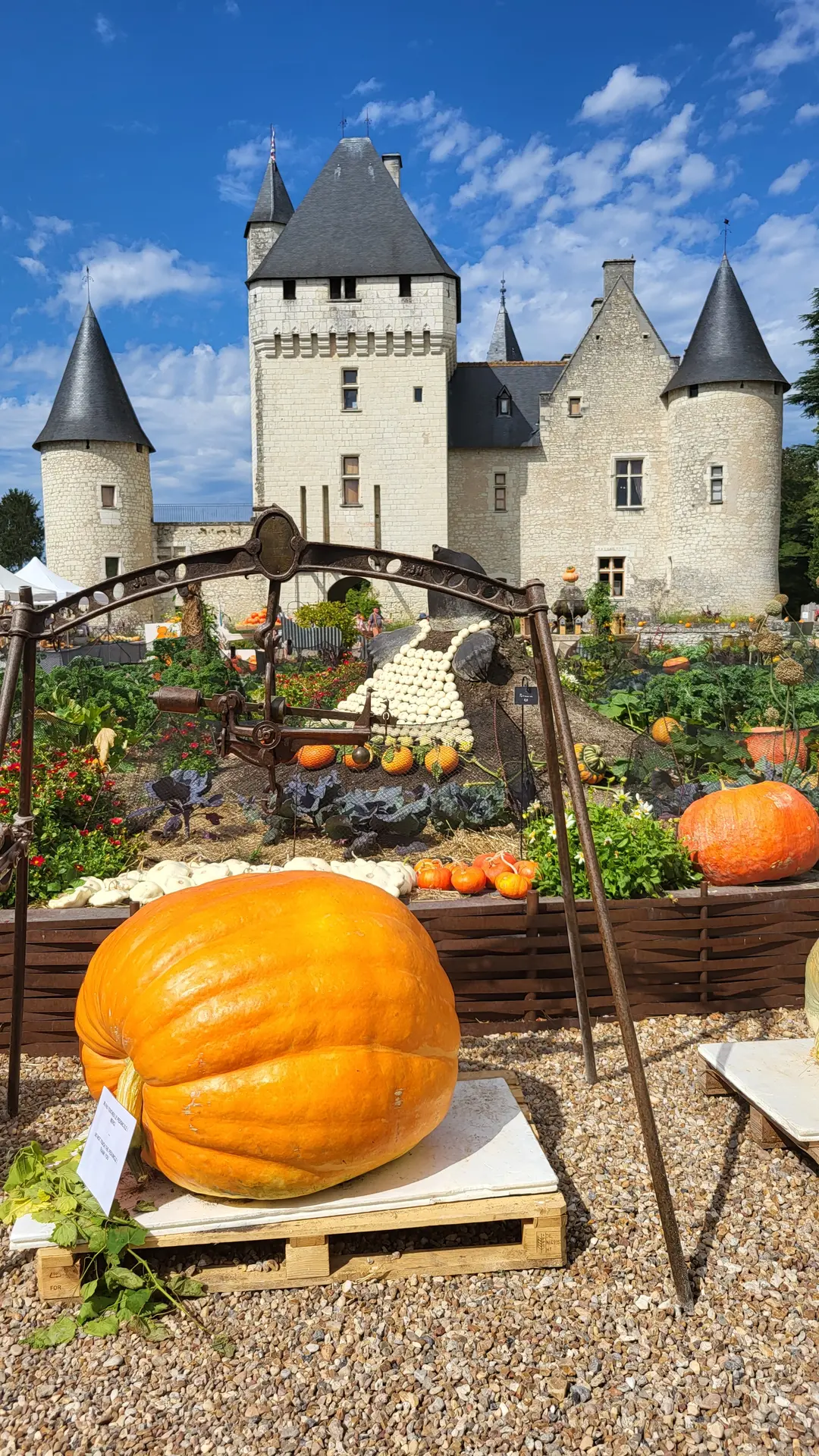 Fête de la Citrouille - Château du Rivau